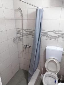 Vannituba majutusasutuses Mitić Apartmani 1
