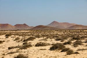 a desert field with mountains in the background at Apartamentos Vistas Dunasol in Corralejo