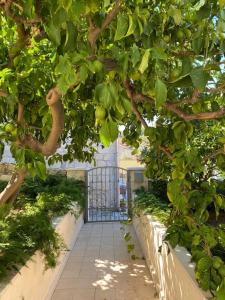 Zahrada ubytování Apartments Barbaresko