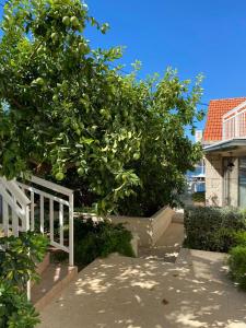 Zahrada ubytování Apartments Barbaresko
