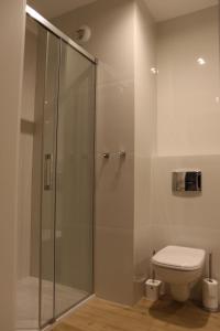 a bathroom with a toilet and a glass shower at Apart Prestige Ząbkowska Old Town in Warsaw +10 photos
