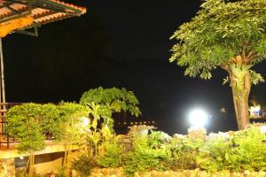 un jardín de noche con árboles y luz en Mai Chau Xanh Bungalow, en Mai Chau