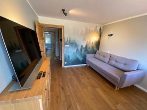 salon z kanapą i drewnianą podłogą w obiekcie Apartament Zdrojowa z tarasem i ogrodem w Polańczyku