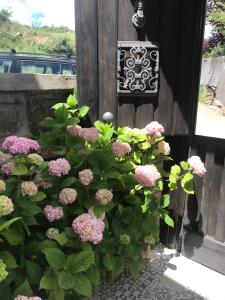 un ramo de flores rosas delante de una puerta en Casa el EDEN de Cameros, en Laguna de Cameros
