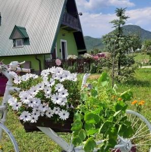 a bicycle with flowers in front of a house at Villa Jasikovac in Berane