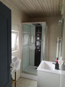La salle de bains est pourvue d'une douche en verre et d'un lavabo. dans l'établissement Duplex cozy, à Montigny-lès-Metz
