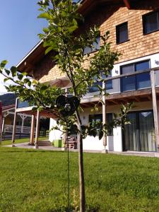 Kép Appartement Dorrer szállásáról Aichban a galériában