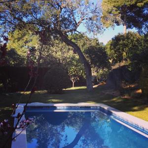 een zwembad in het midden van een tuin bij Casa Feliz in Sant Cebrià de Vallalta