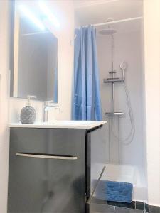 ein Badezimmer mit einem Waschbecken und einem blauen Duschvorhang in der Unterkunft MyHome Basel 3B44 in Saint-Louis