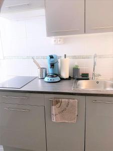 a kitchen counter with a mixer and a sink at MyHome Basel 3B44 in Saint-Louis