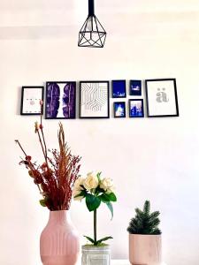 two vases with flowers and pictures on a wall at Les Falaises in 'Aïn Taya