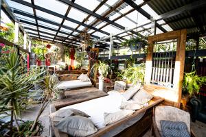 a room with two beds and plants in it at Jaspers Apartments in Brunswick Heads