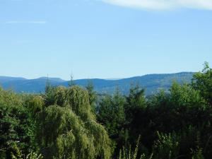 Příroda nedaleko bed and breakfast