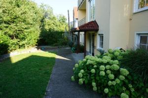 a walkway leading to a house with a bush of flowers at FW An der Roth in Roth