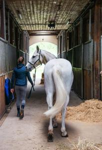 a woman walking a white horse into a barn at Gut Tausendbachl in Regen