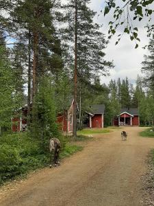 deux animaux debout sur le côté d'un chemin de terre dans l'établissement Kuosto ja Luppo, à Äkäslompolo