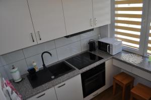 Fotografia z galérie ubytovania Apartament Sierakowskiego v destinácii Sanok