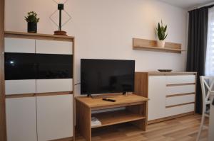 a living room with a television on a wooden table at Apartament Sierakowskiego in Sanok