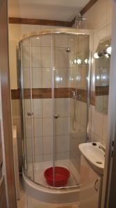 a shower with a glass door next to a sink at Apartament Sierakowskiego in Sanok