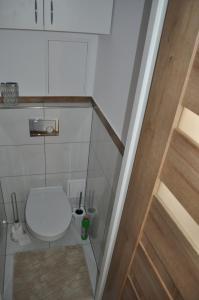 a small bathroom with a toilet in a room at Apartament Sierakowskiego in Sanok