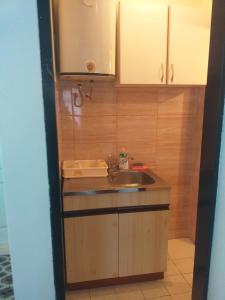 Kuchyň nebo kuchyňský kout v ubytování Apartman Milica