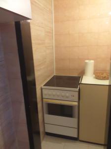 Kuchyň nebo kuchyňský kout v ubytování Apartman Milica