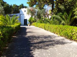 a road with plants and a building in the background at Tenuta Belvedere in Otranto