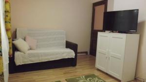 a living room with a chair and a flat screen tv at Bartók kulcsosház in Pietroasa