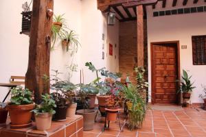 Gallery image of La Casa Toledana Estudio - Patio y Artesonado in Toledo