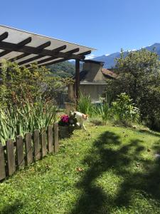 Zahrada ubytování Al Chiar di Luna B&B Valtellina
