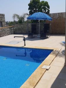 a blue swimming pool with an umbrella and chairs at יחידת דיור עם בריכה פרטית מפנקת in Rosh Pinna