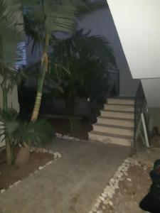 a stairway with palm trees in a building at יחידת דיור עם בריכה פרטית מפנקת in Rosh Pinna