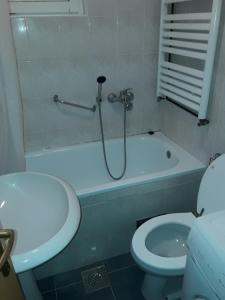 a bathroom with a shower and a toilet and a sink at Apartman LAZAR I VIKTOR in Vrnjačka Banja +7 photos