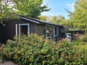 a small black shed with a lot of plants at Cosy stay in southern Malmo in Malmö