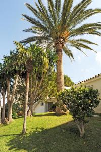 a group of palm trees in front of a house at Casa Ancladero Room W big balcony and lovely view in Fuengirola