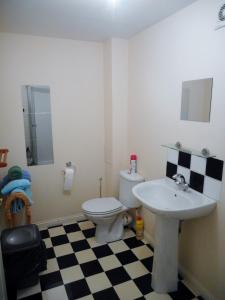 ein Badezimmer mit einer weißen Toilette und einem Waschbecken in der Unterkunft DairyCottage, 5, TELFORD MEWS BEATTOCK in Moffat
