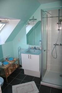 a bathroom with a sink and a shower at Asphodèle in Ambon