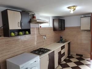 a kitchen with a stove top oven next to a counter at Cabana La Coco Horea in Arada