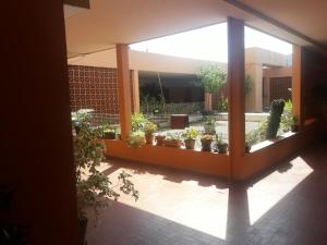 a courtyard with potted plants in a building at BRILOC Appartement Route des îles Sanguinaires in Ajaccio