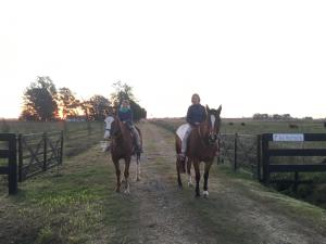 dos personas montando caballos por un camino de tierra en La Soñada en Lobos