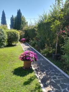 a garden with flowers in a pot on a path at Casa Pianta in Cavallino-Treporti