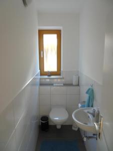 een kleine badkamer met een toilet en een wastafel bij Ferienwohnung Haus Elisabeth, Roßfeldalm in Berchtesgaden