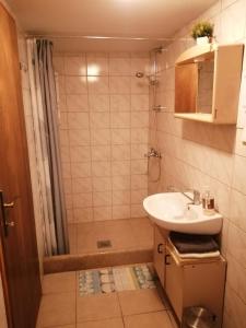y baño con ducha y lavamanos. en Robinzonski smještaj Tepeš, en Tuheljske Toplice