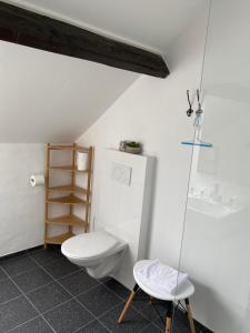 a white bathroom with a toilet and a sink at Authentic Stays - 4p-apartment in Eijsden +17 photos
