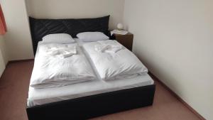 Billede fra billedgalleriet på Hotel Apollo i Valašské Meziříčí + 9 billeder