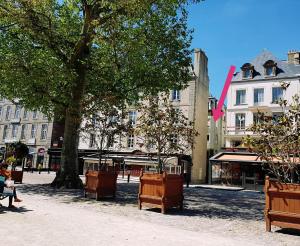 un parque con bancos y un árbol y edificios en INTRAMUROS Charmant 30m2 rénové, en Saint-Malo 3 fotos más