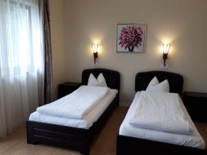 Postel nebo postele na pokoji v ubytování Transylvania Villa & Spa
