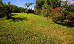 um campo relvado com árvores e flores vermelhas nele em Borgo Valle Rita em Ginosa