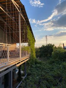 a building with ivy on the side of it at Artson B&B Vagharshapat in Vagharshapat