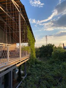 Zahrada ubytování Artson B&B Vagharshapat